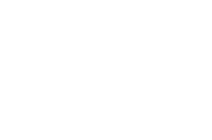 MAZ International School